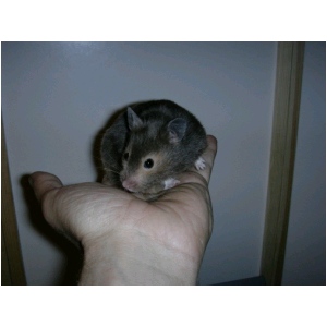 DSCN0642.html
