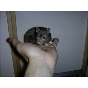 DSCN0643.html