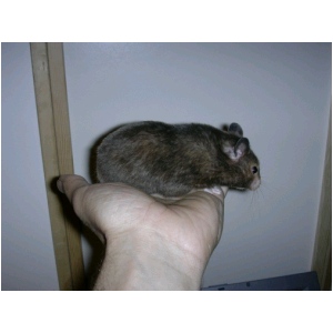 DSCN0644.html