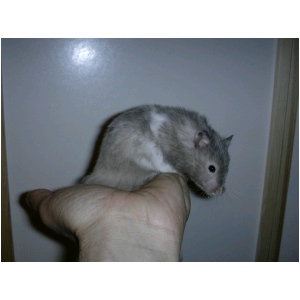 DSCN0645.html