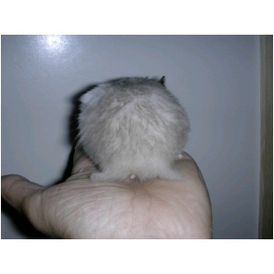 DSCN0647.html
