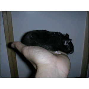 DSCN0648.html