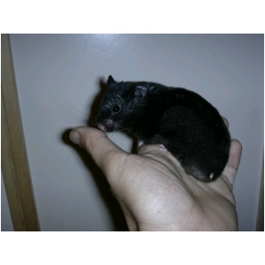 DSCN0649.html