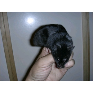 DSCN0650.html